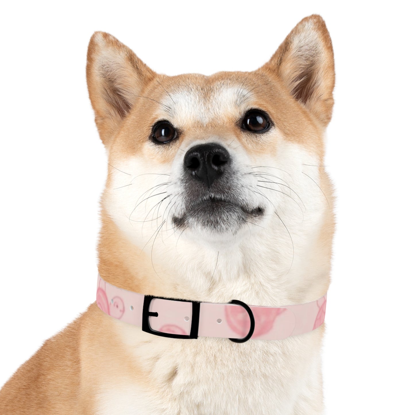 Beach Babe Pink Dog Collar - Stylish Pet Accessory for Beach Lovers