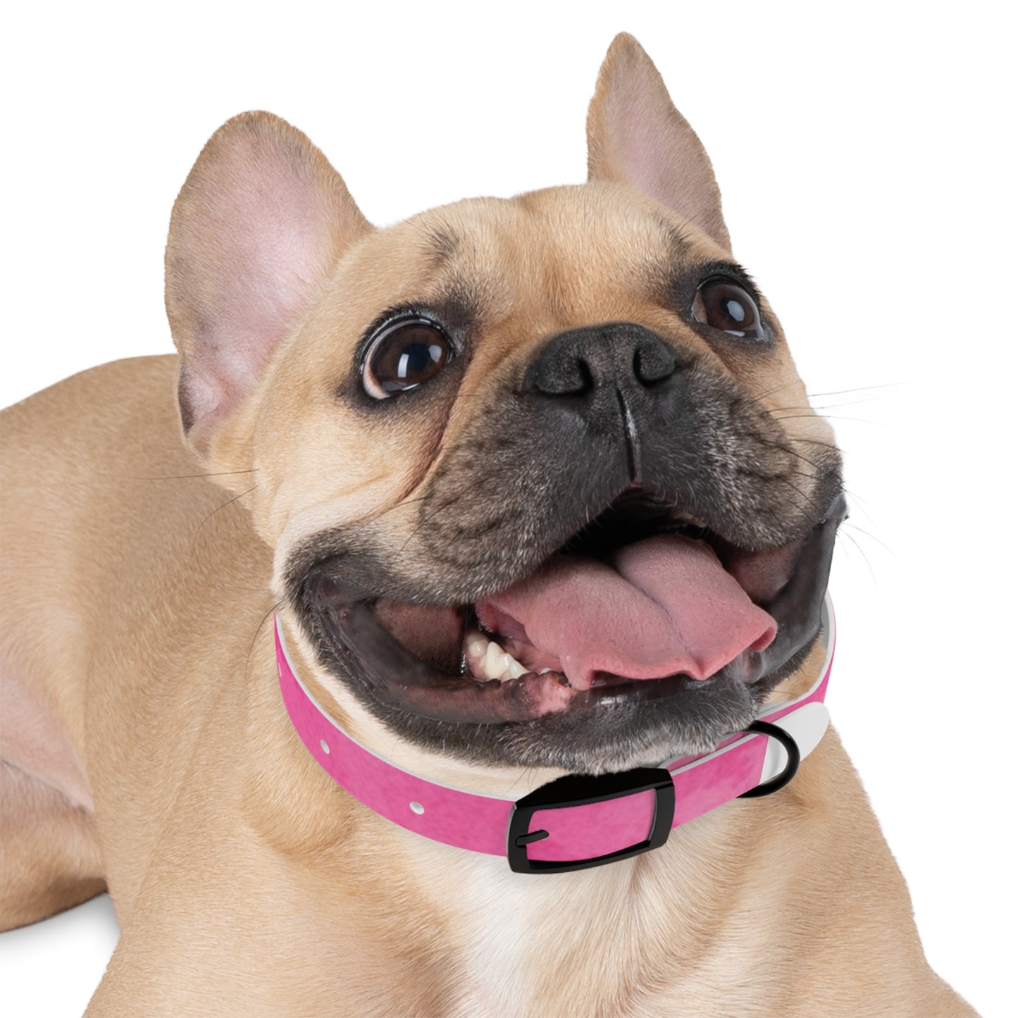 Custom Pink Dog Collar - Stylish Pet Accessory for Fashionable Dog Lovers