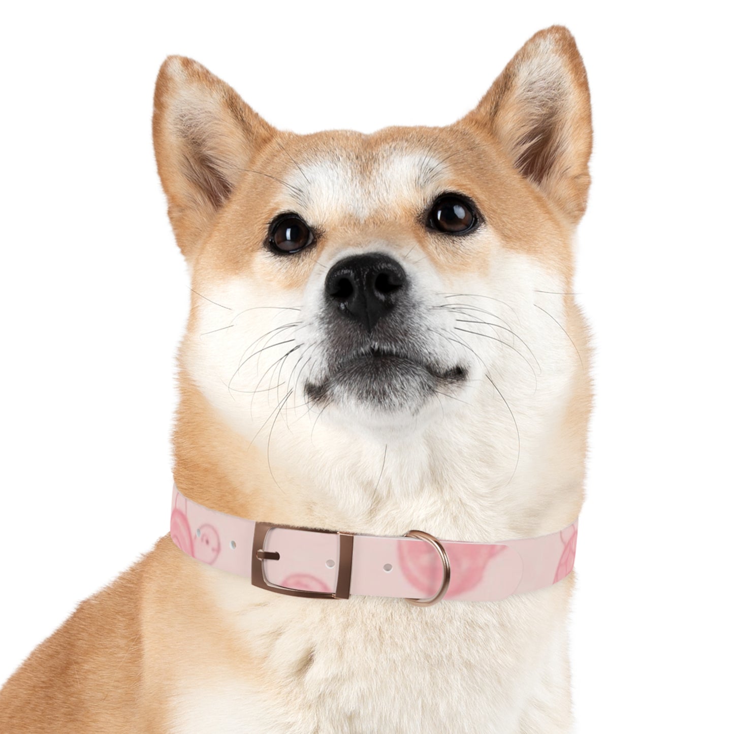 Beach Babe Pink Dog Collar - Stylish Pet Accessory for Beach Lovers