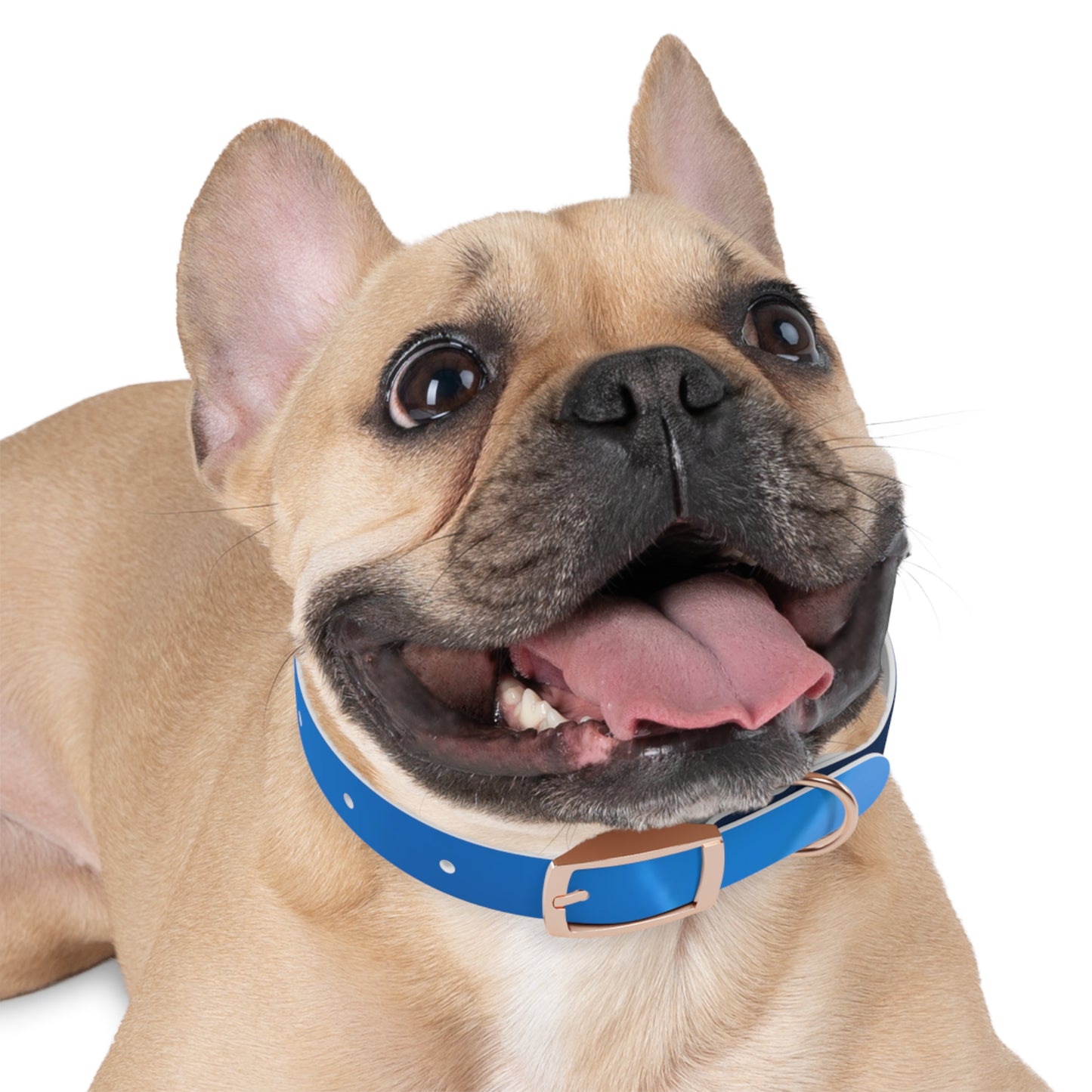 Dog Collar - Blue Smoke Design