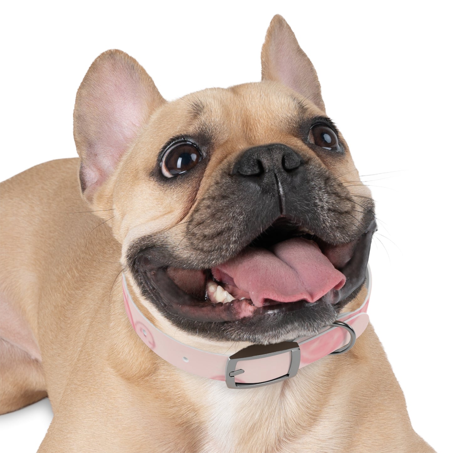 Beach Babe Pink Dog Collar - Stylish Pet Accessory for Beach Lovers