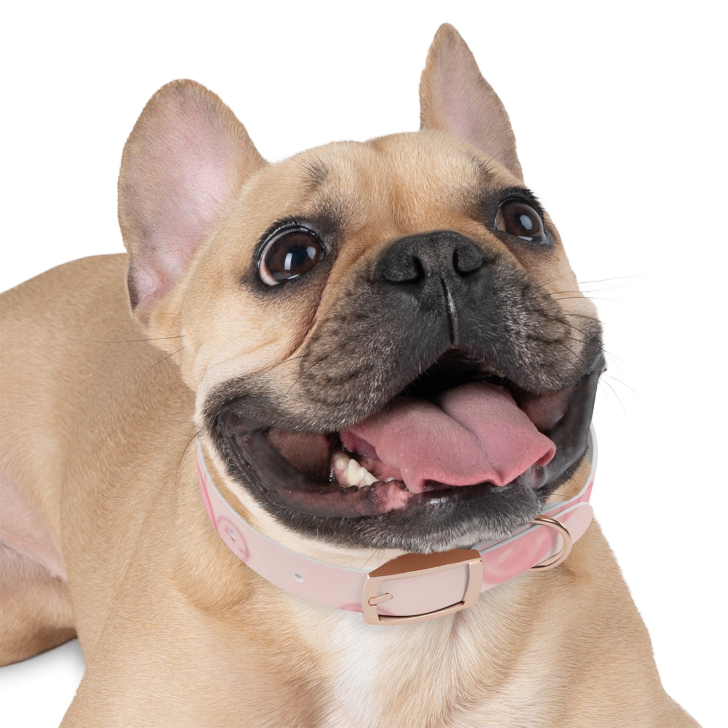 Beach Babe Pink Dog Collar - Stylish Pet Accessory for Beach Lovers