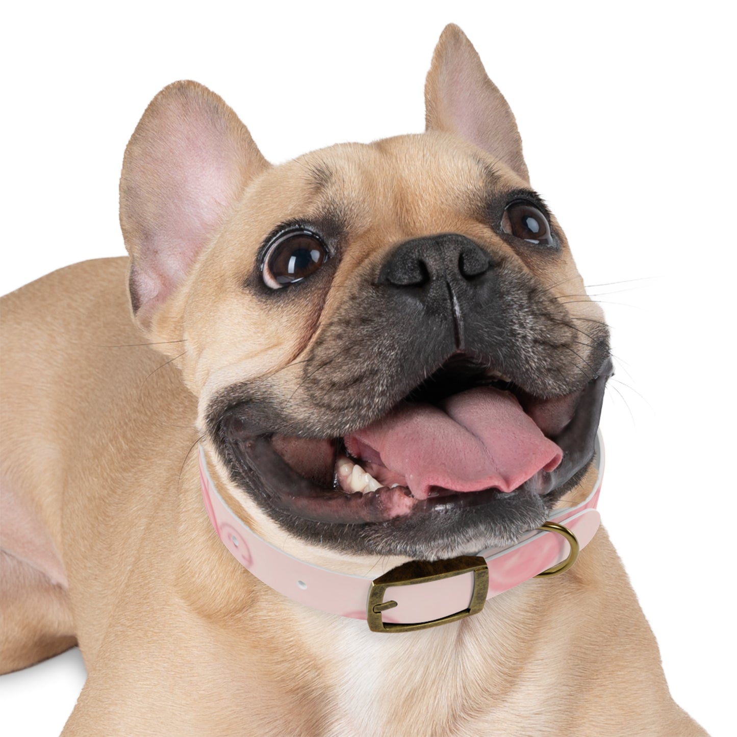 Beach Babe Pink Dog Collar - Stylish Pet Accessory for Beach Lovers