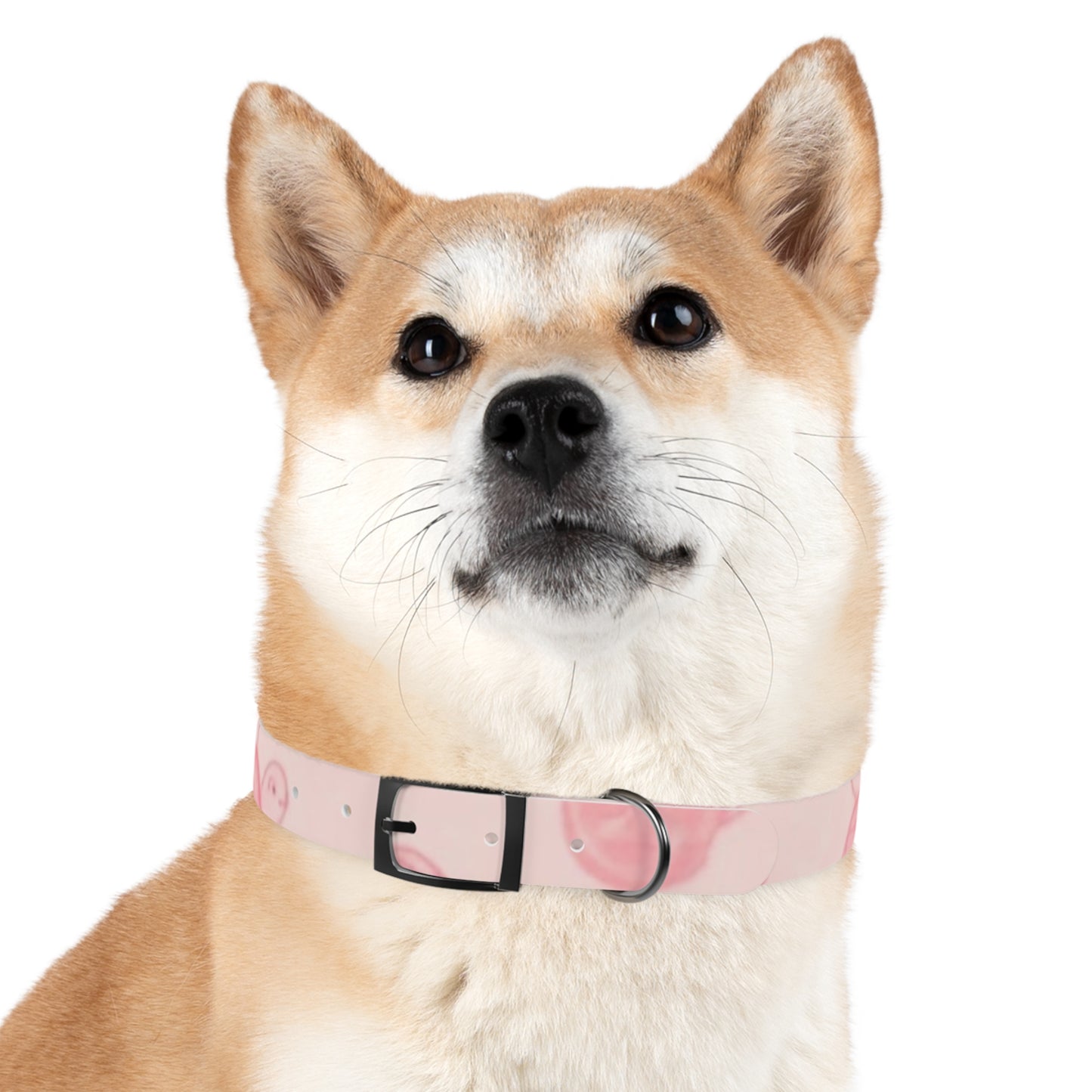 Beach Babe Pink Dog Collar - Stylish Pet Accessory for Beach Lovers