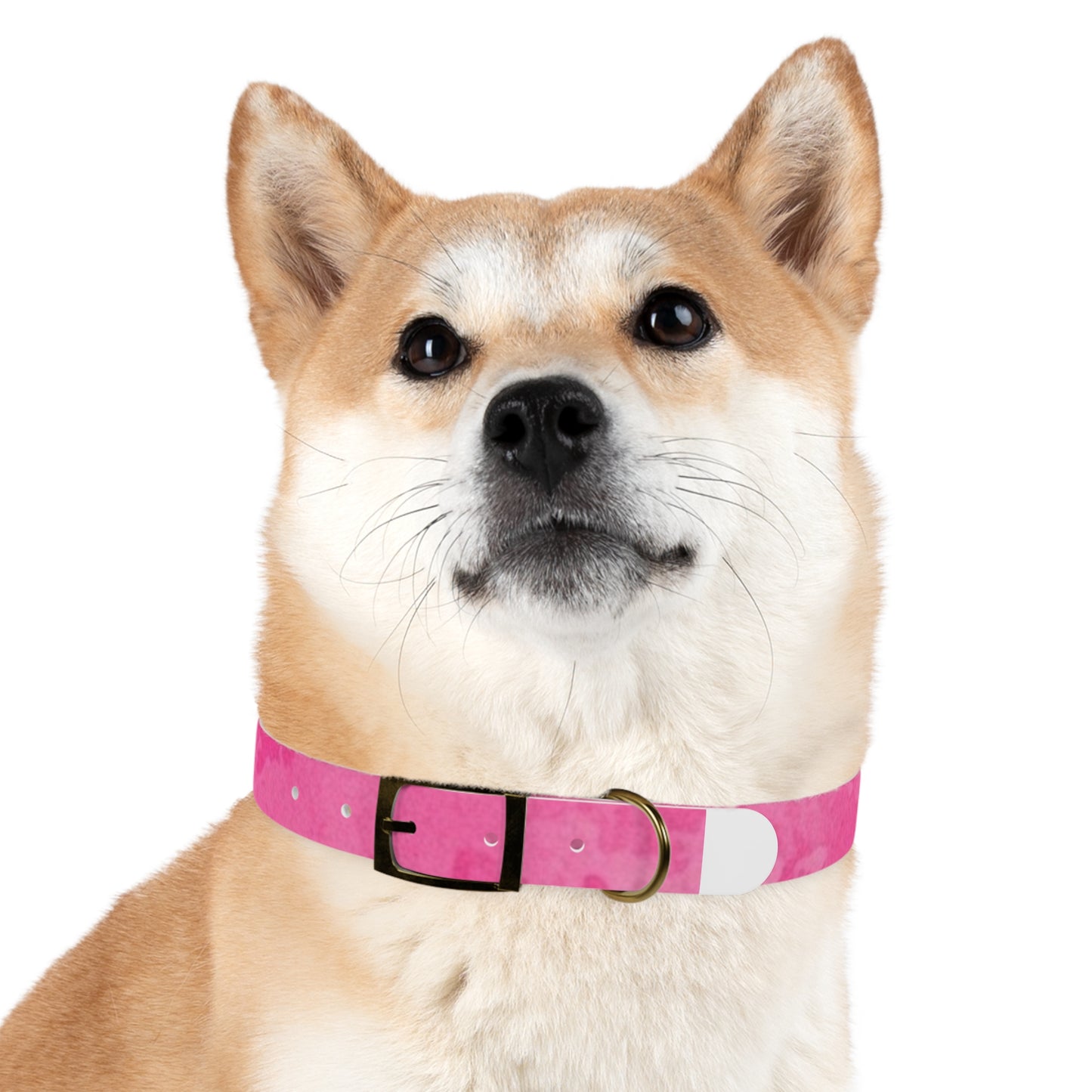 Custom Pink Dog Collar - Stylish Pet Accessory for Fashionable Dog Lovers