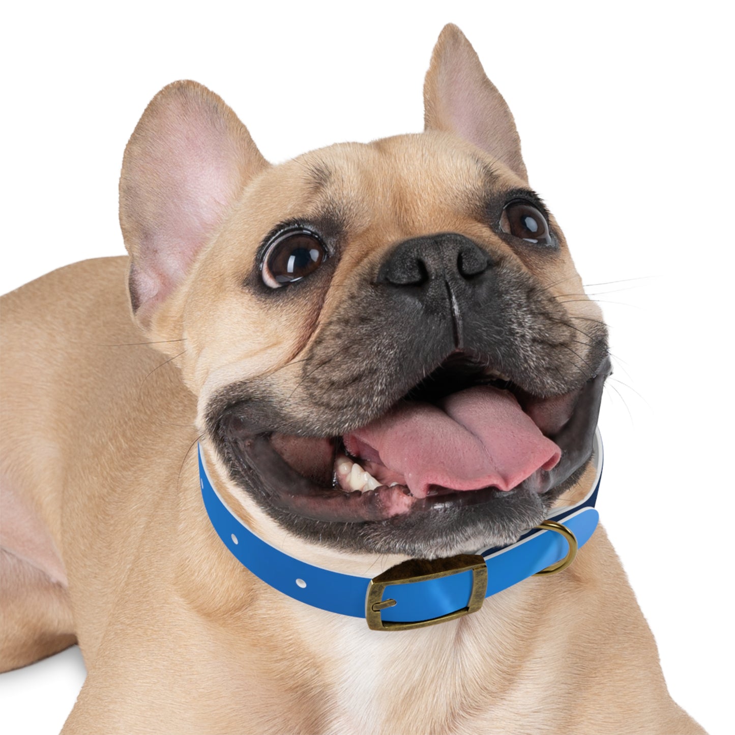 Dog Collar - Blue Smoke Design