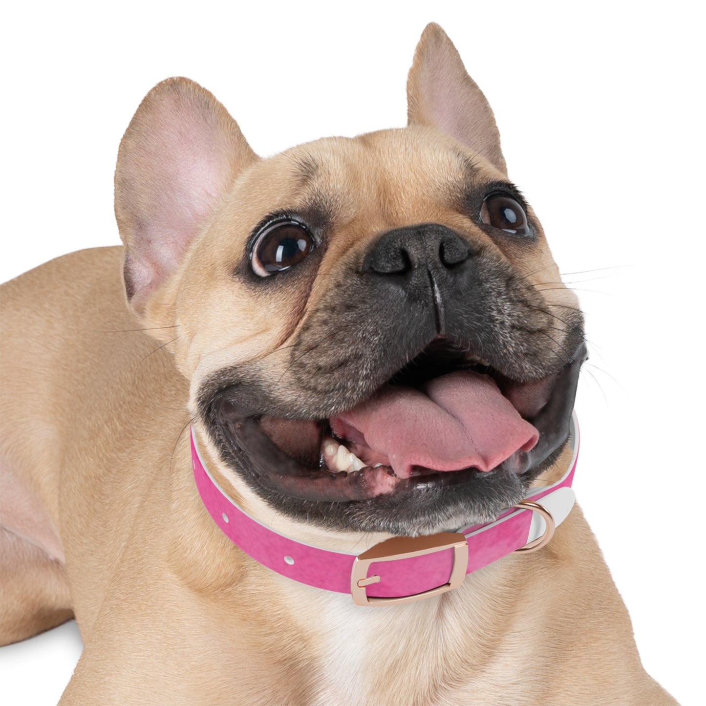 Custom Pink Dog Collar - Stylish Pet Accessory for Fashionable Dog Lovers