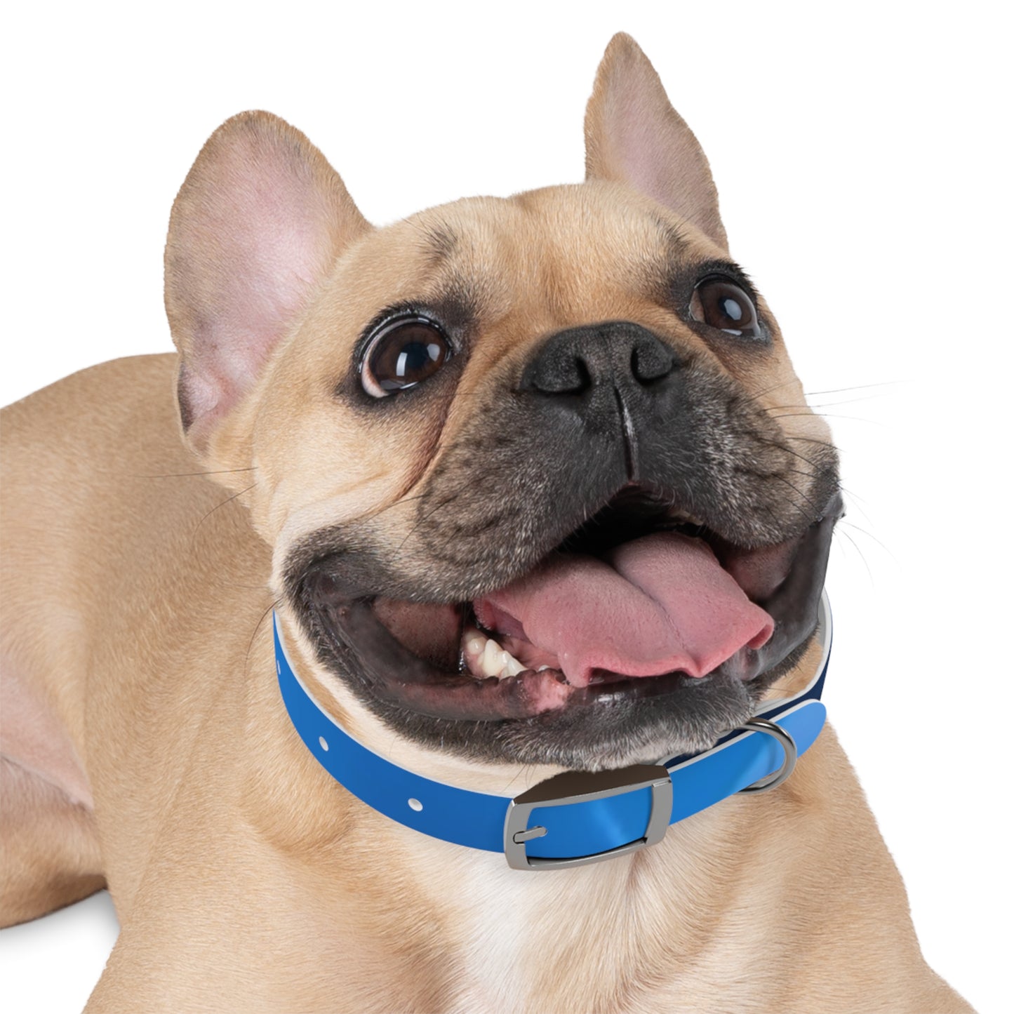 Dog Collar - Blue Smoke Design