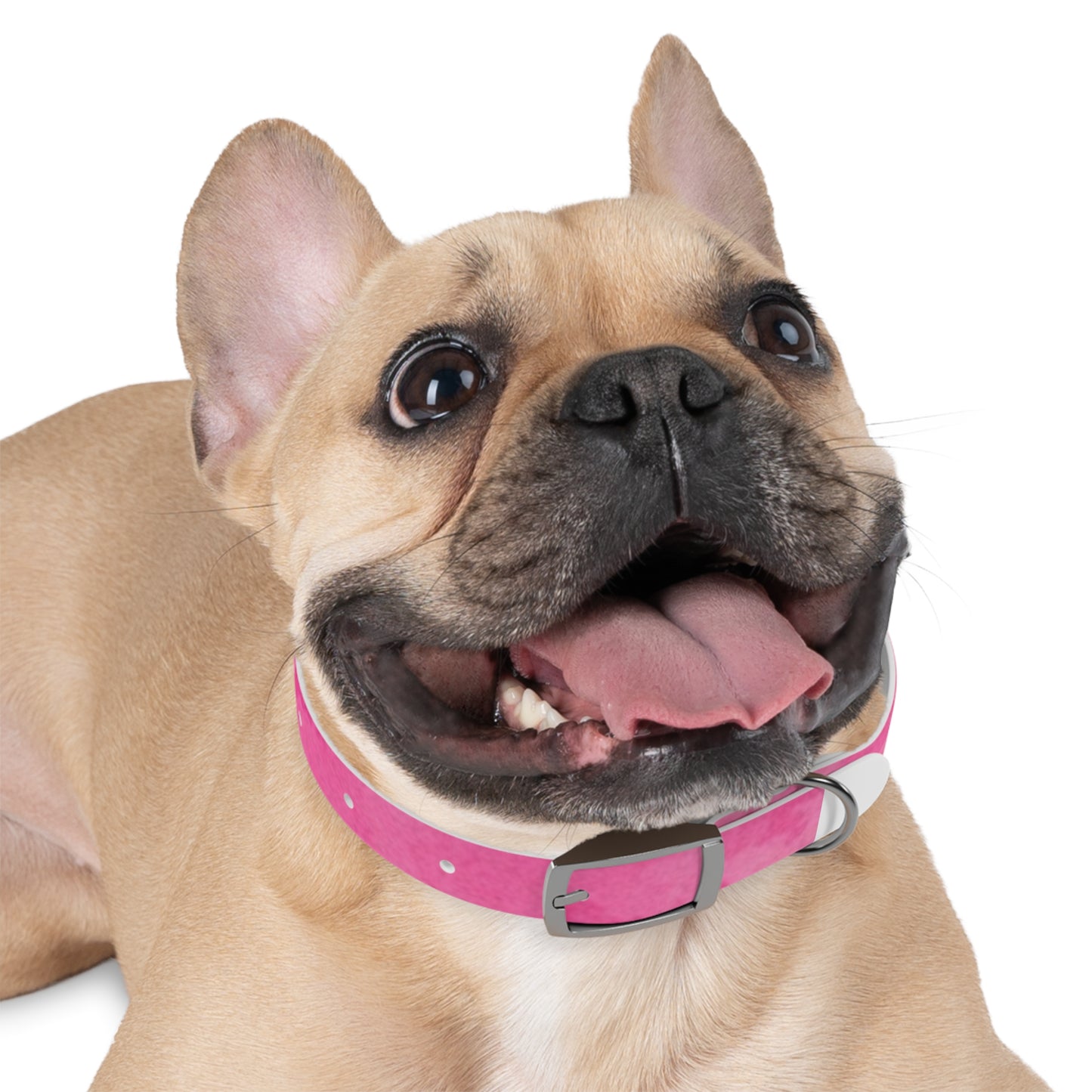 Custom Pink Dog Collar - Stylish Pet Accessory for Fashionable Dog Lovers