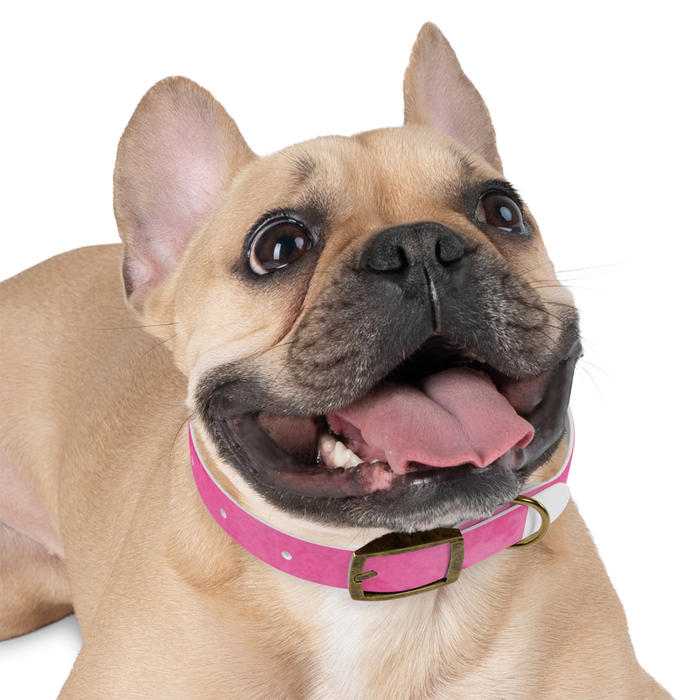 Custom Pink Dog Collar - Stylish Pet Accessory for Fashionable Dog Lovers
