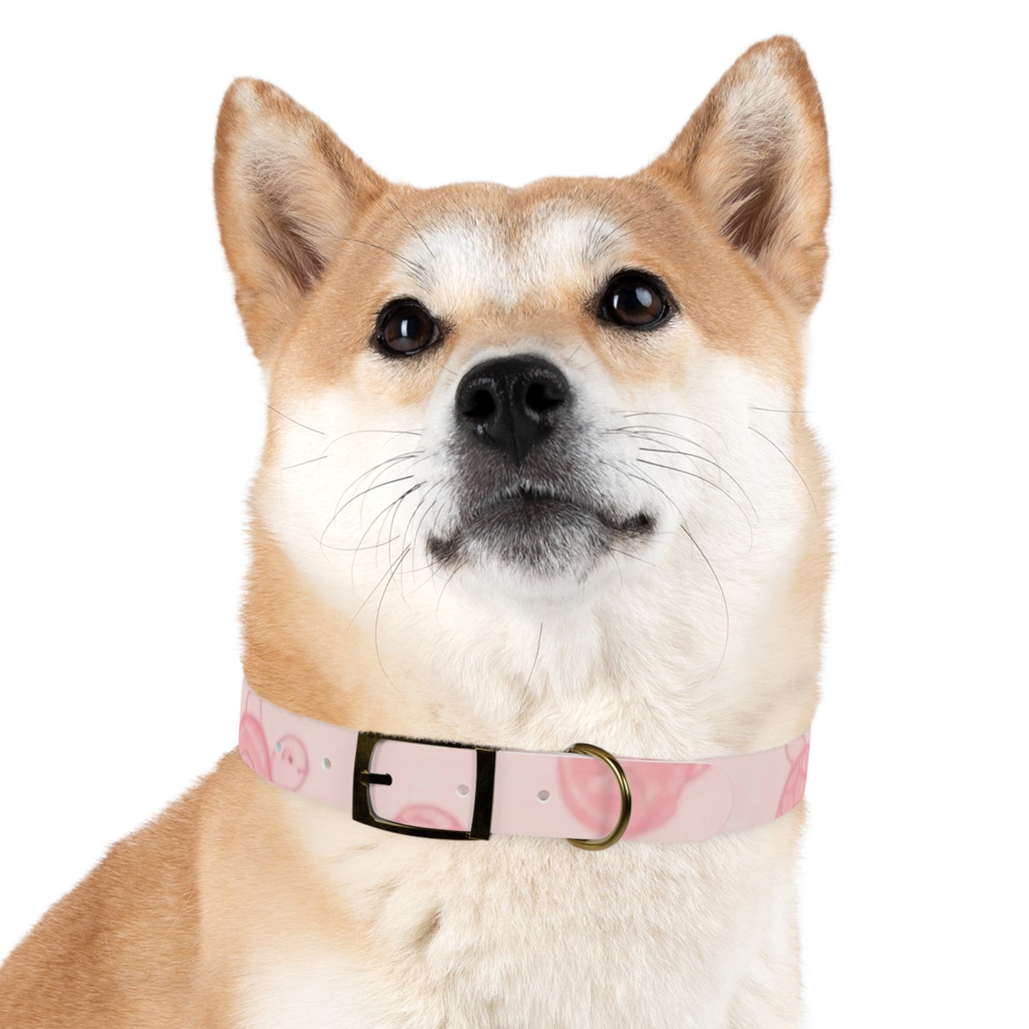 Beach Babe Pink Dog Collar - Stylish Pet Accessory for Beach Lovers